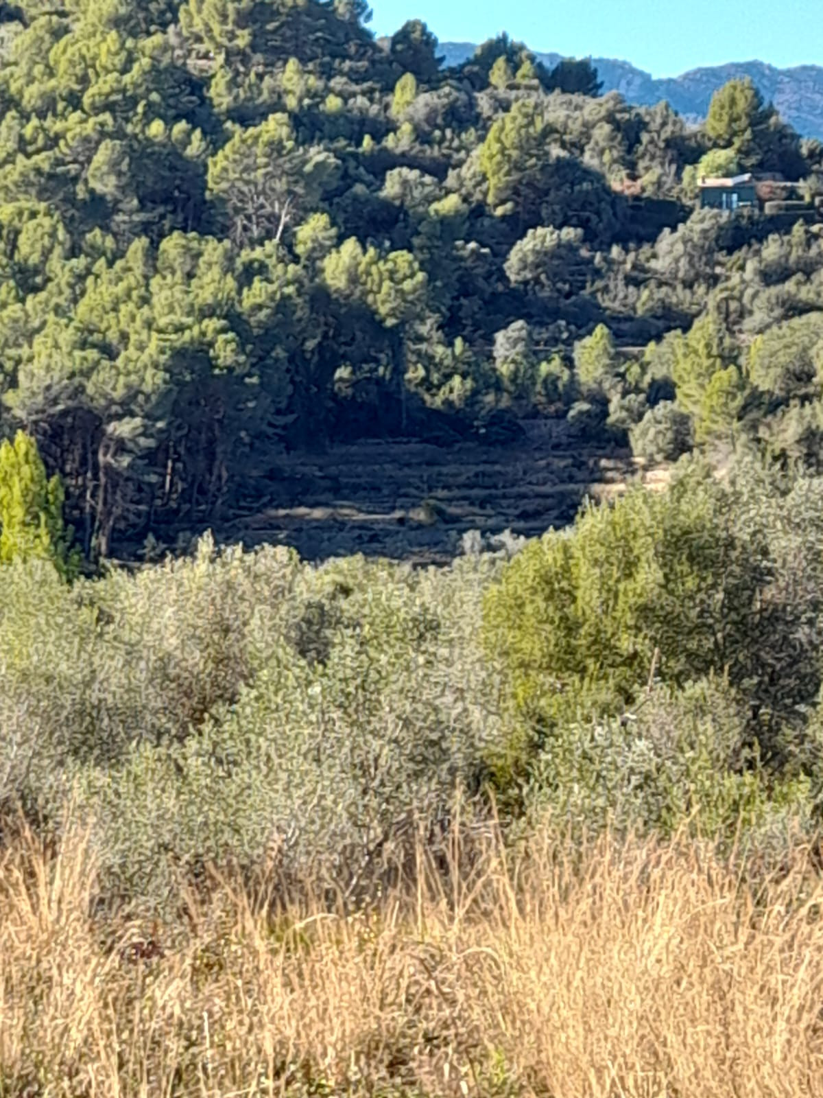 Property main view 11
