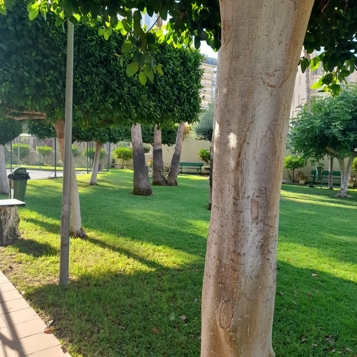 Property main view 10