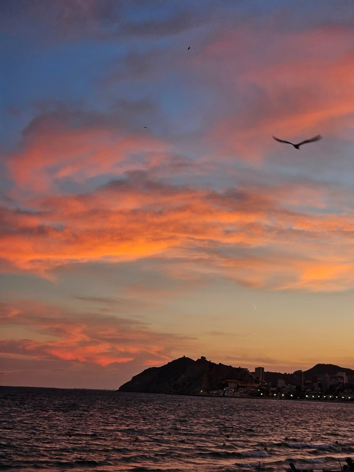 Property main view 50