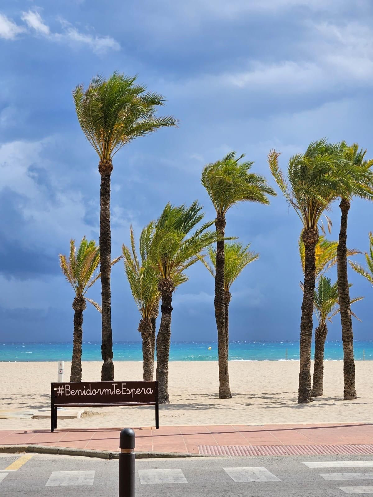 Property main view 51