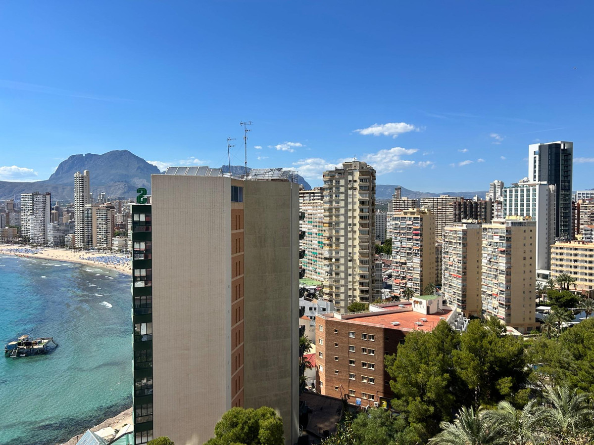 Property main view 19