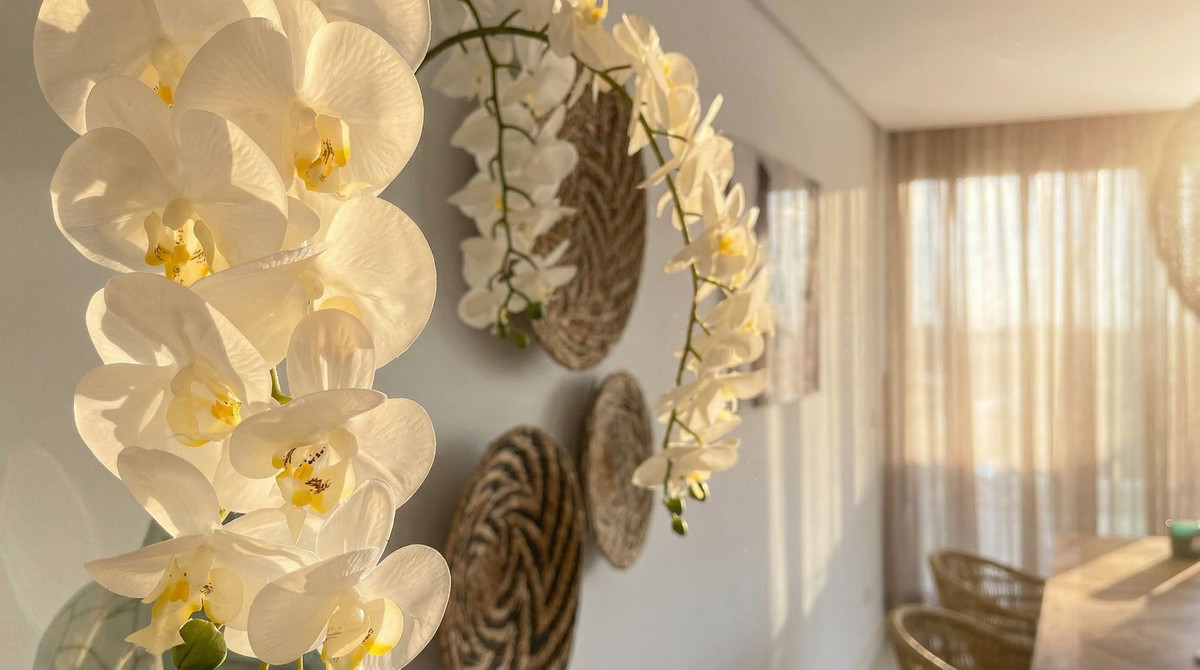 Property main view 15