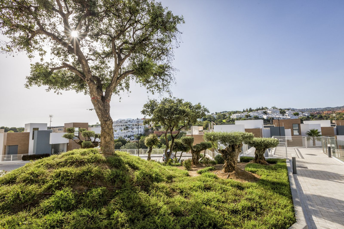 Property main view 20