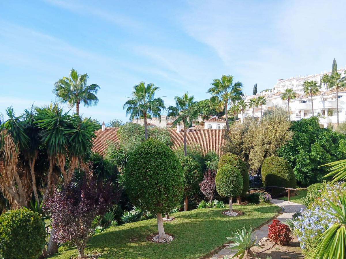 Property main view 37