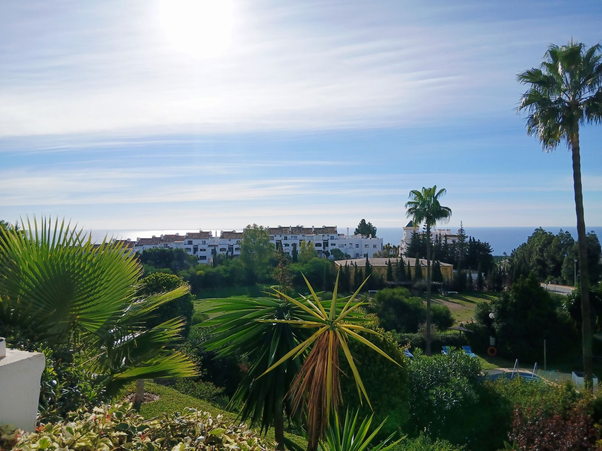 Property main view 41