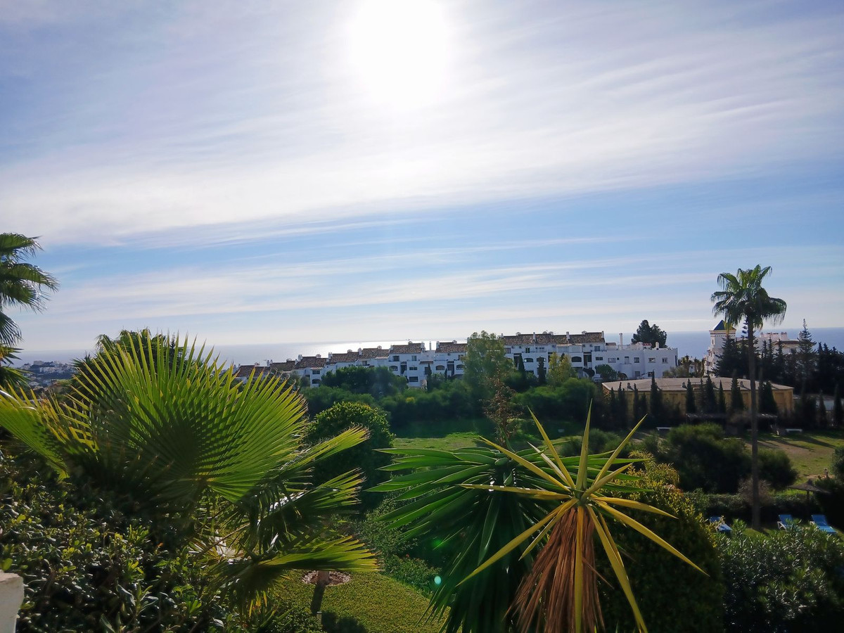 Property main view 42