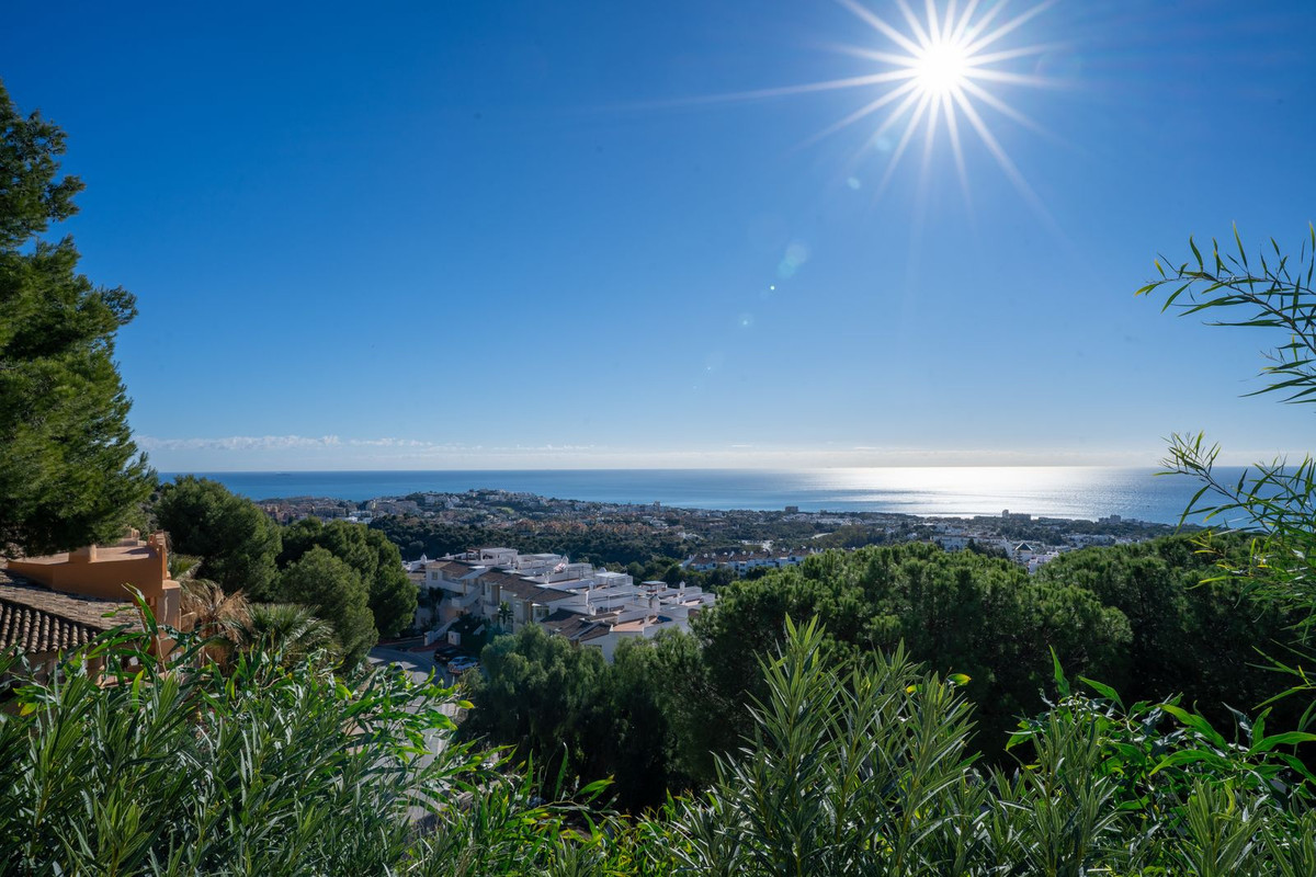 Property main view 2