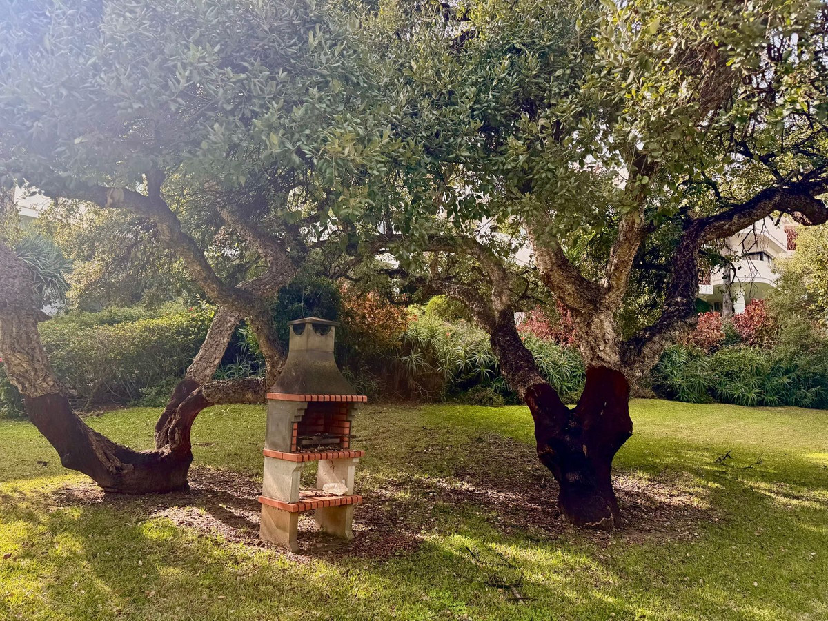 Property main view 23