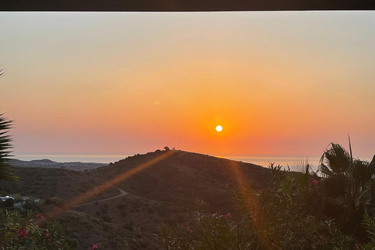 Property main view 2