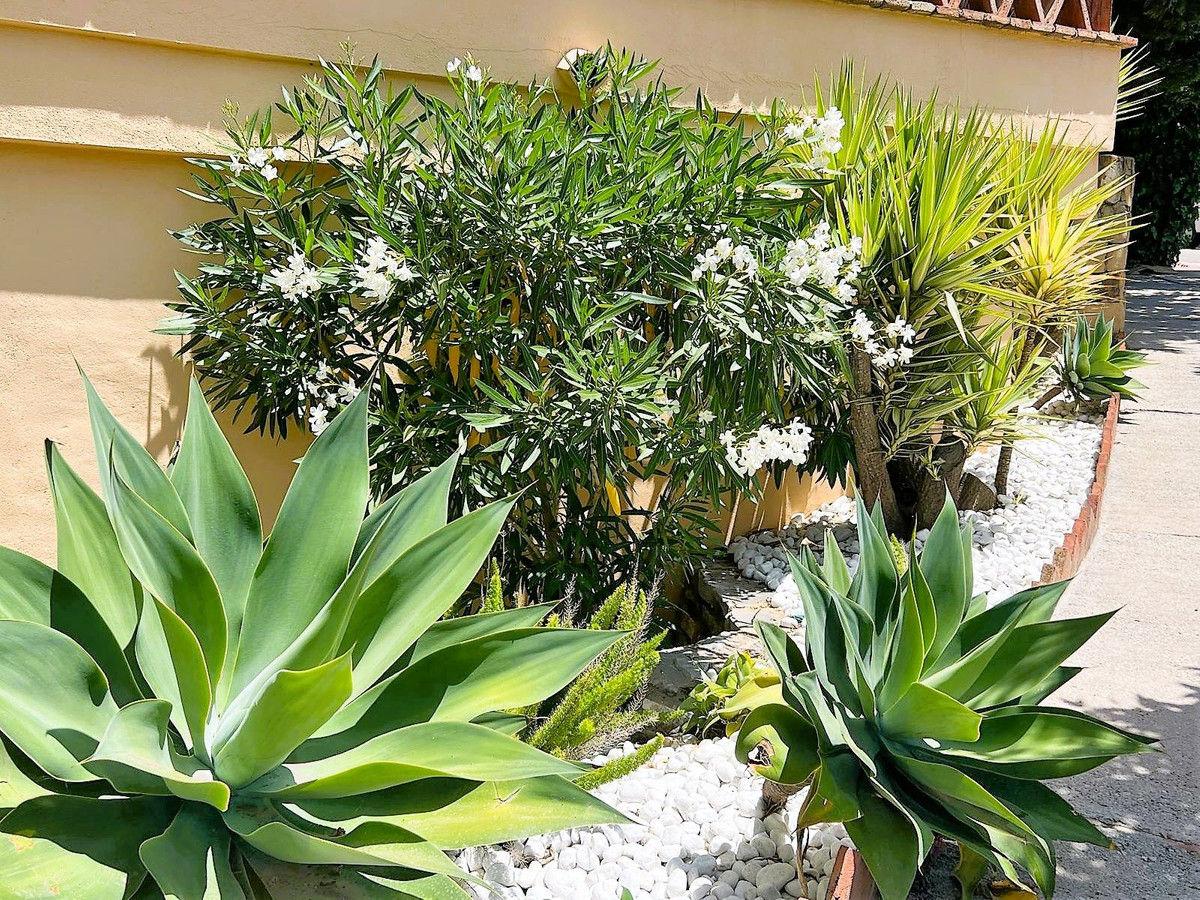 Restaurant te koop in Calahonda | 2 slaapkamers H5340742