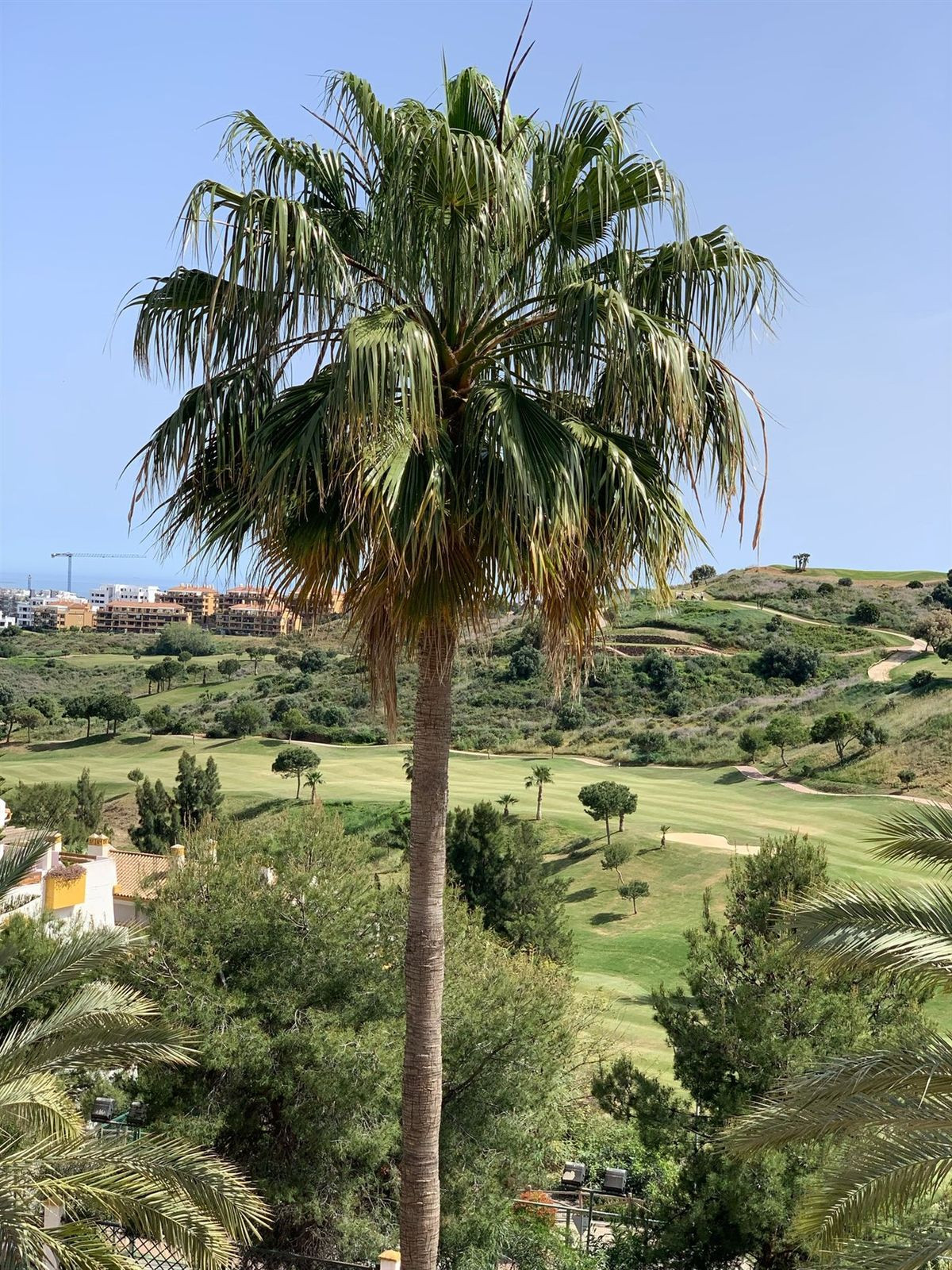Penthouse in Calanova Golf-26