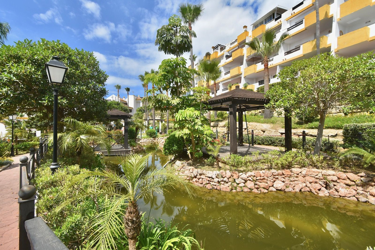 Property main view 31