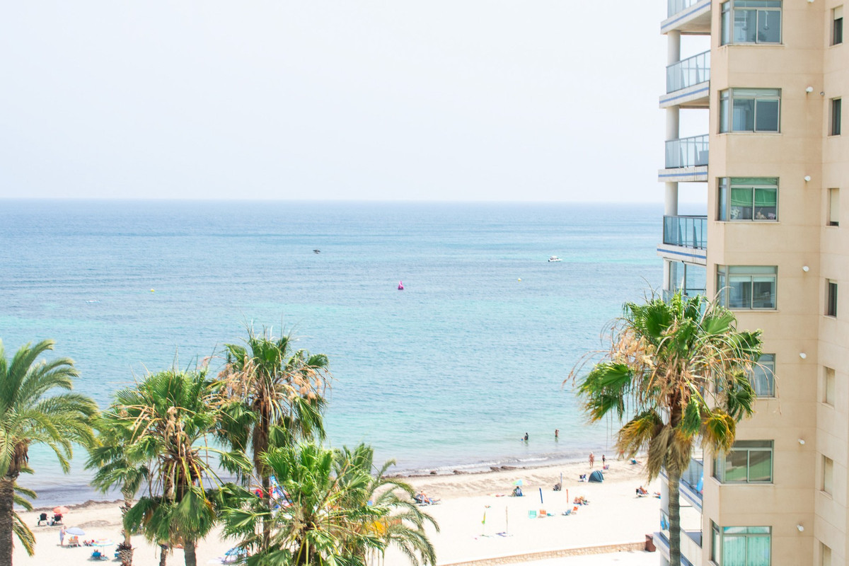 Property main view 2