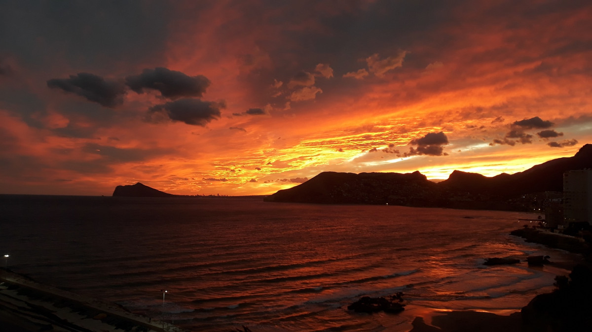 Property main view 2