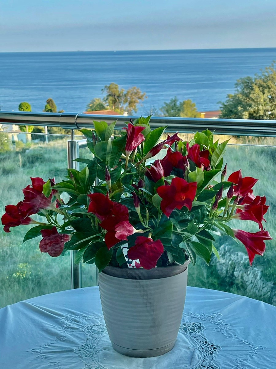 Appartement te koop in Calpe | 2 slaapkamers H5288281