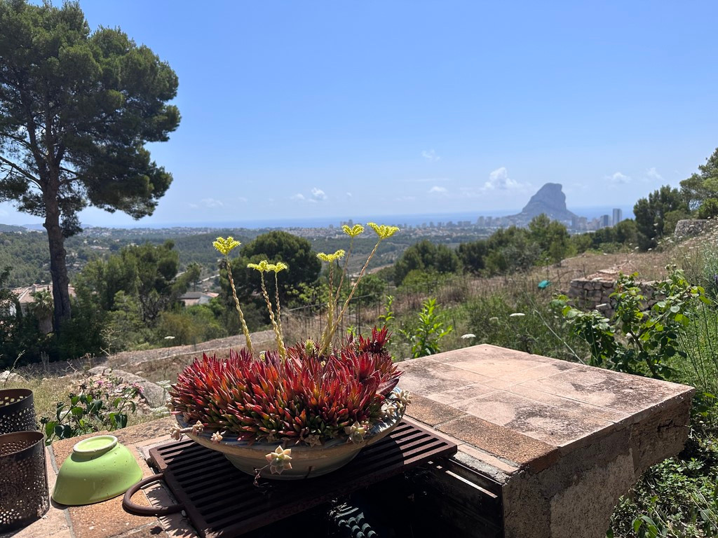Finca - Cortijo te koop in Calpe | 3 slaapkamers H5309581
