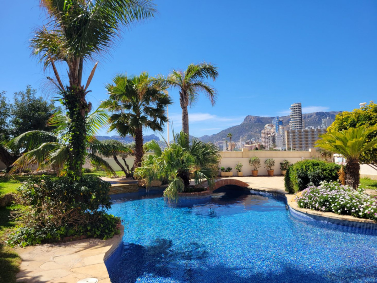 Property main view 50