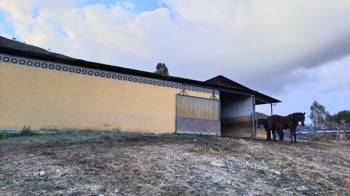 Property main view 11