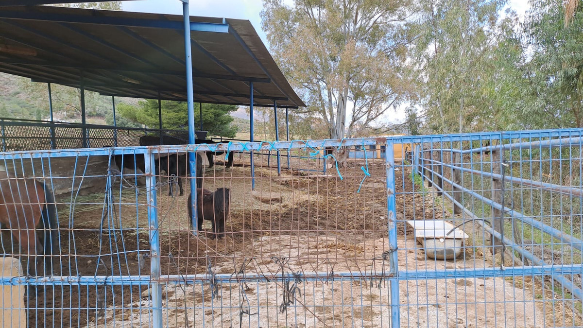 Property main view 15