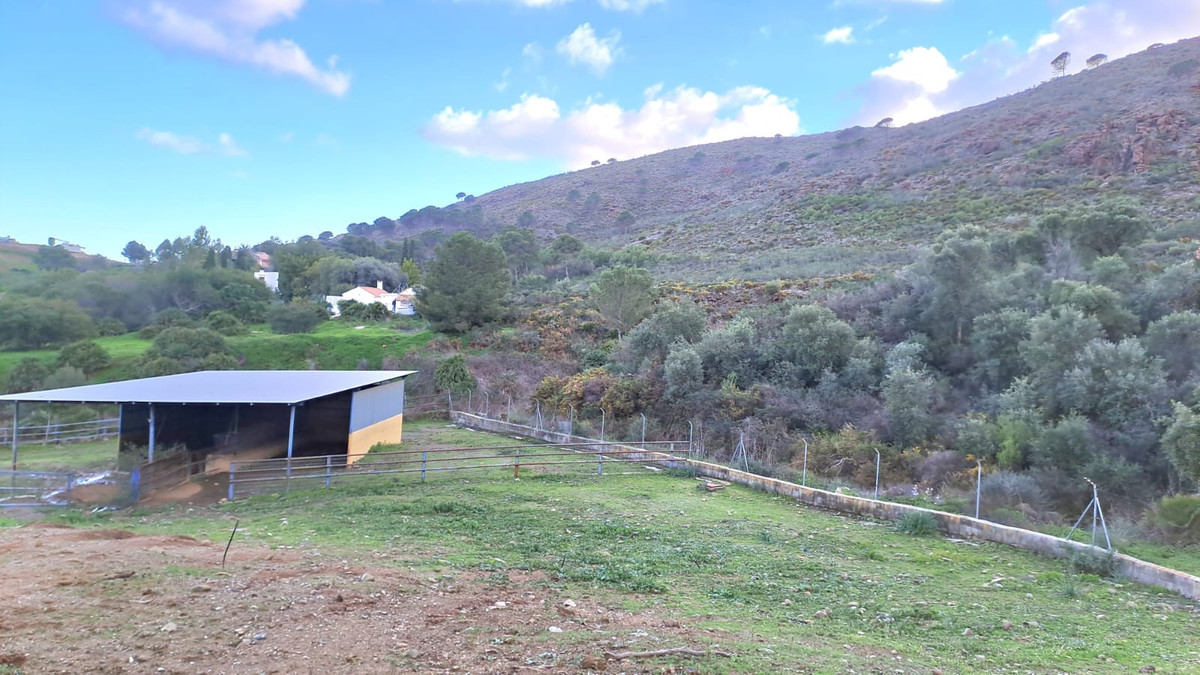 Property main view 2