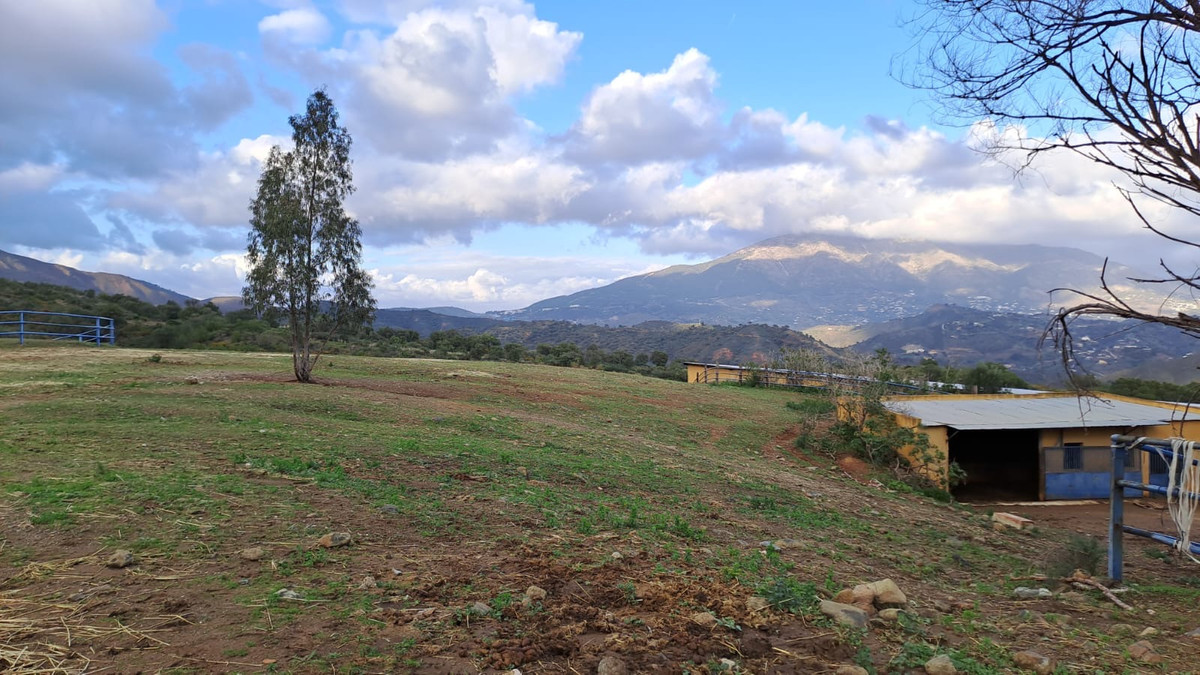 Property main view 25