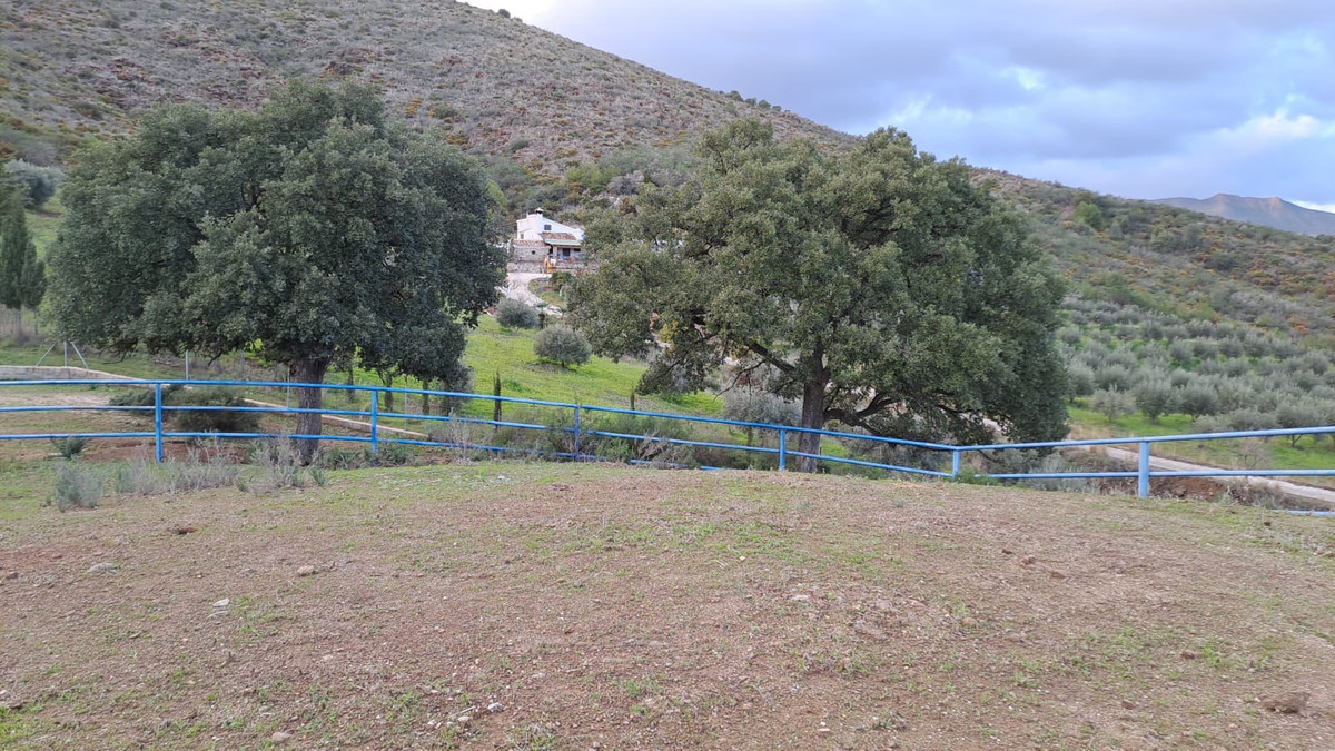 Property main view 26