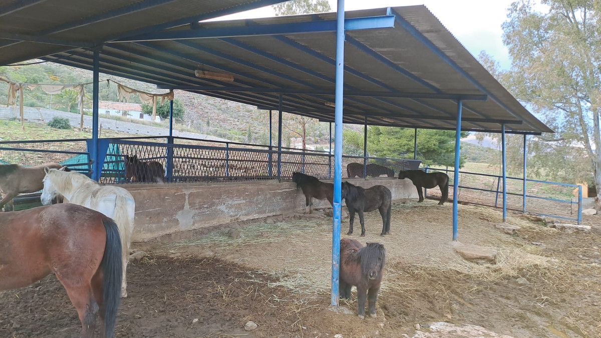 Property main view 4