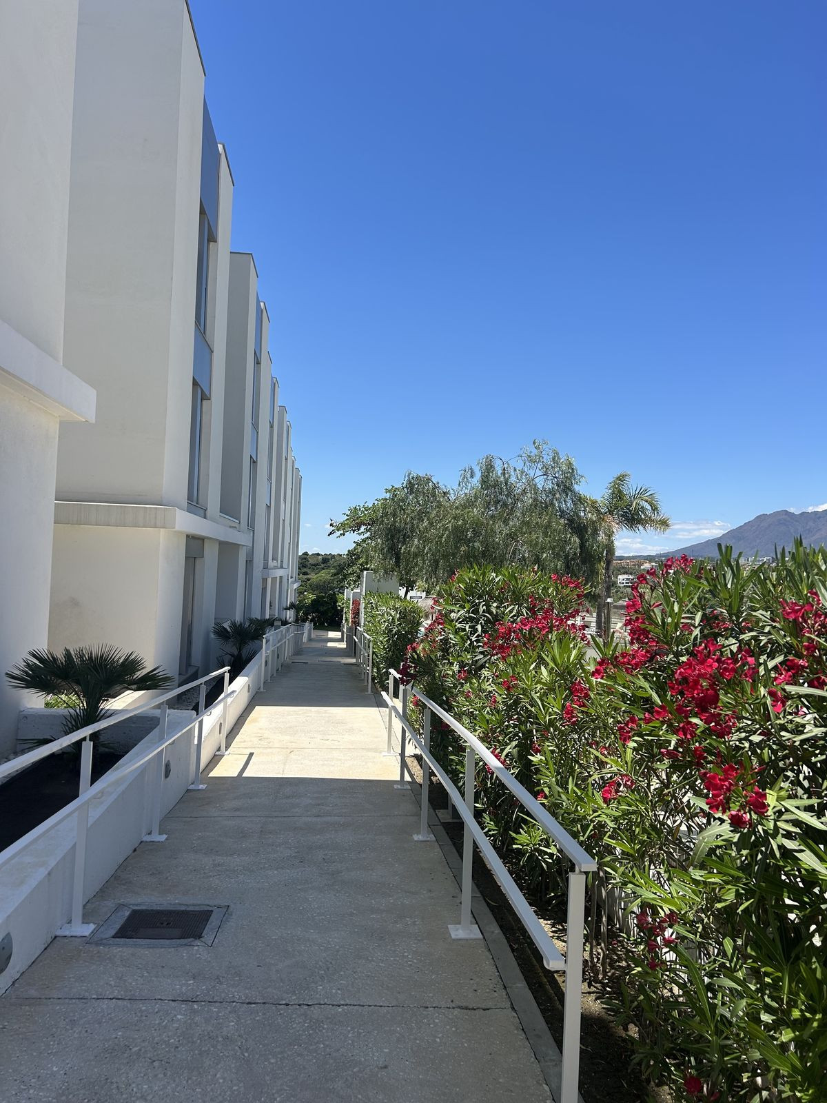 Begane grond appartement in Cancelada-2