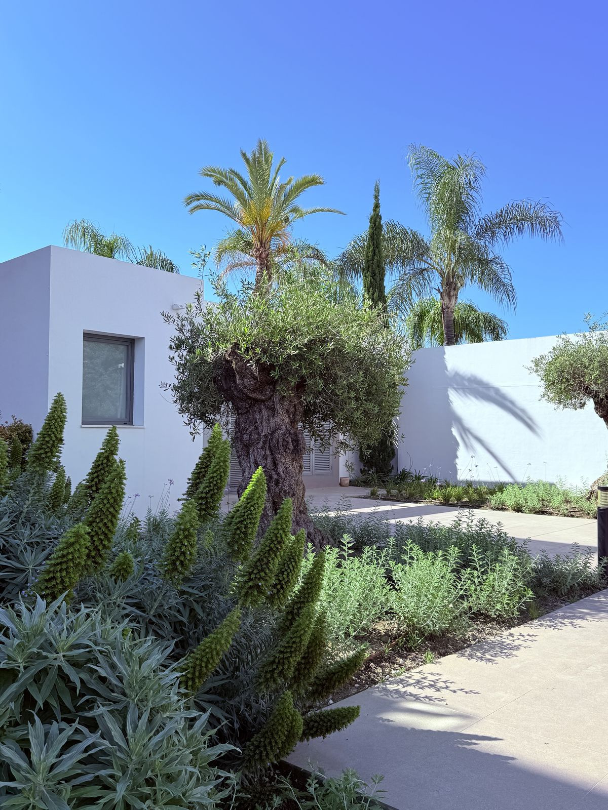 Appartement te koop in Cancelada | 3 slaapkamers H5048632