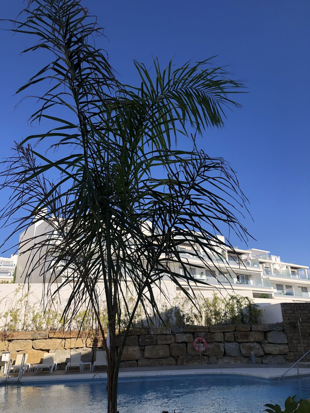 Property main view 22