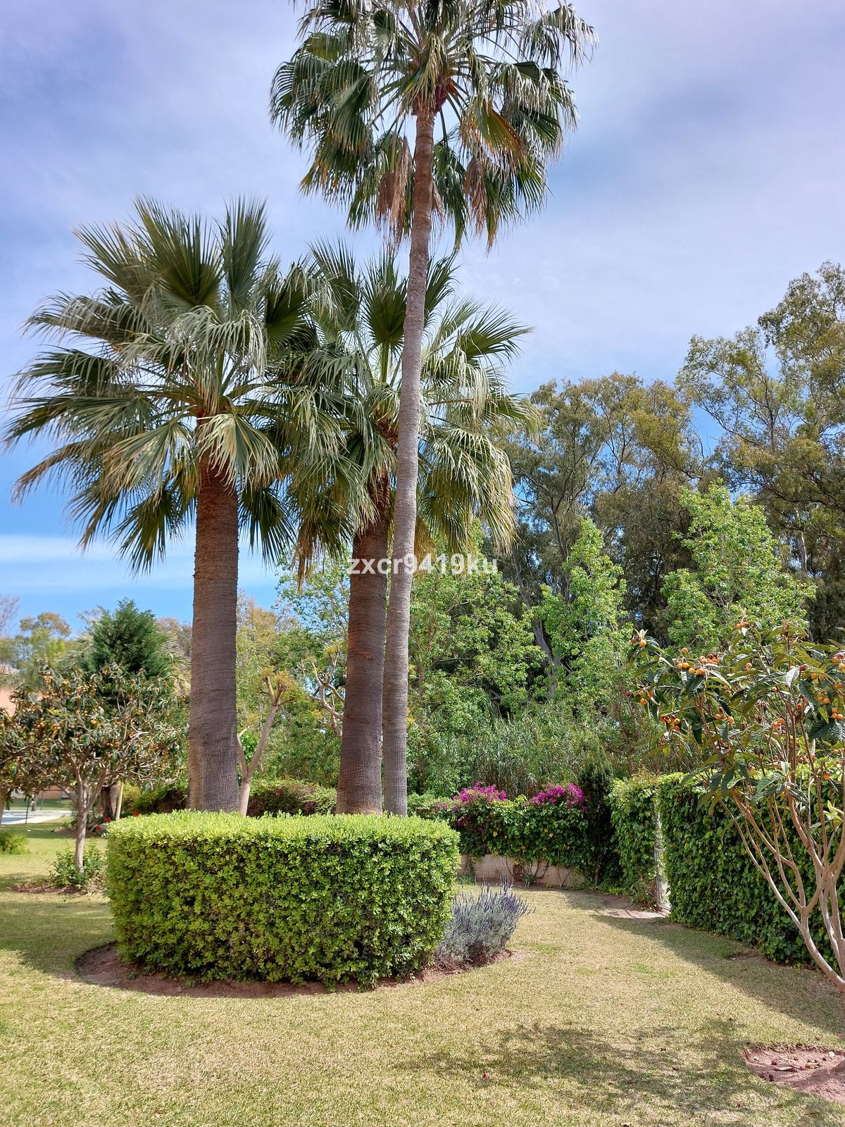 Appartement te koop in Carib Playa | 3 slaapkamers H5259412