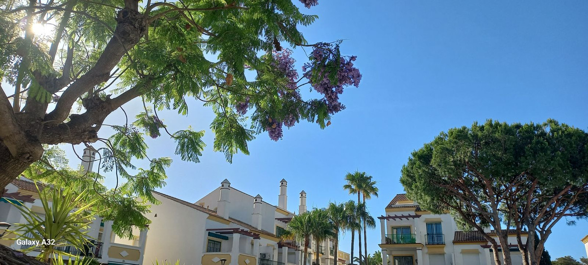 Property main view 31