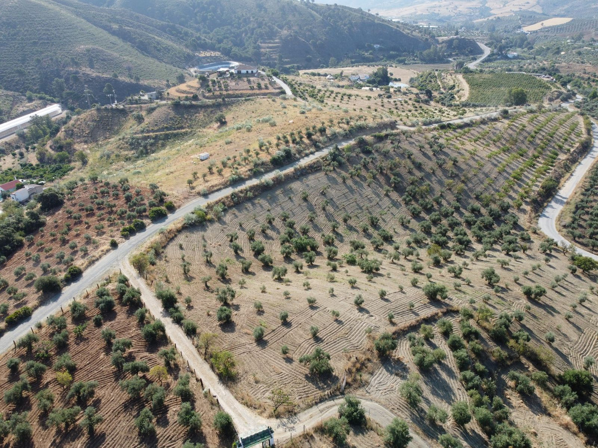 Property main view 25