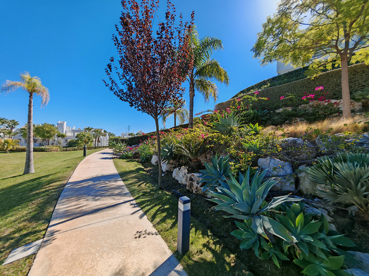 Property main view 23