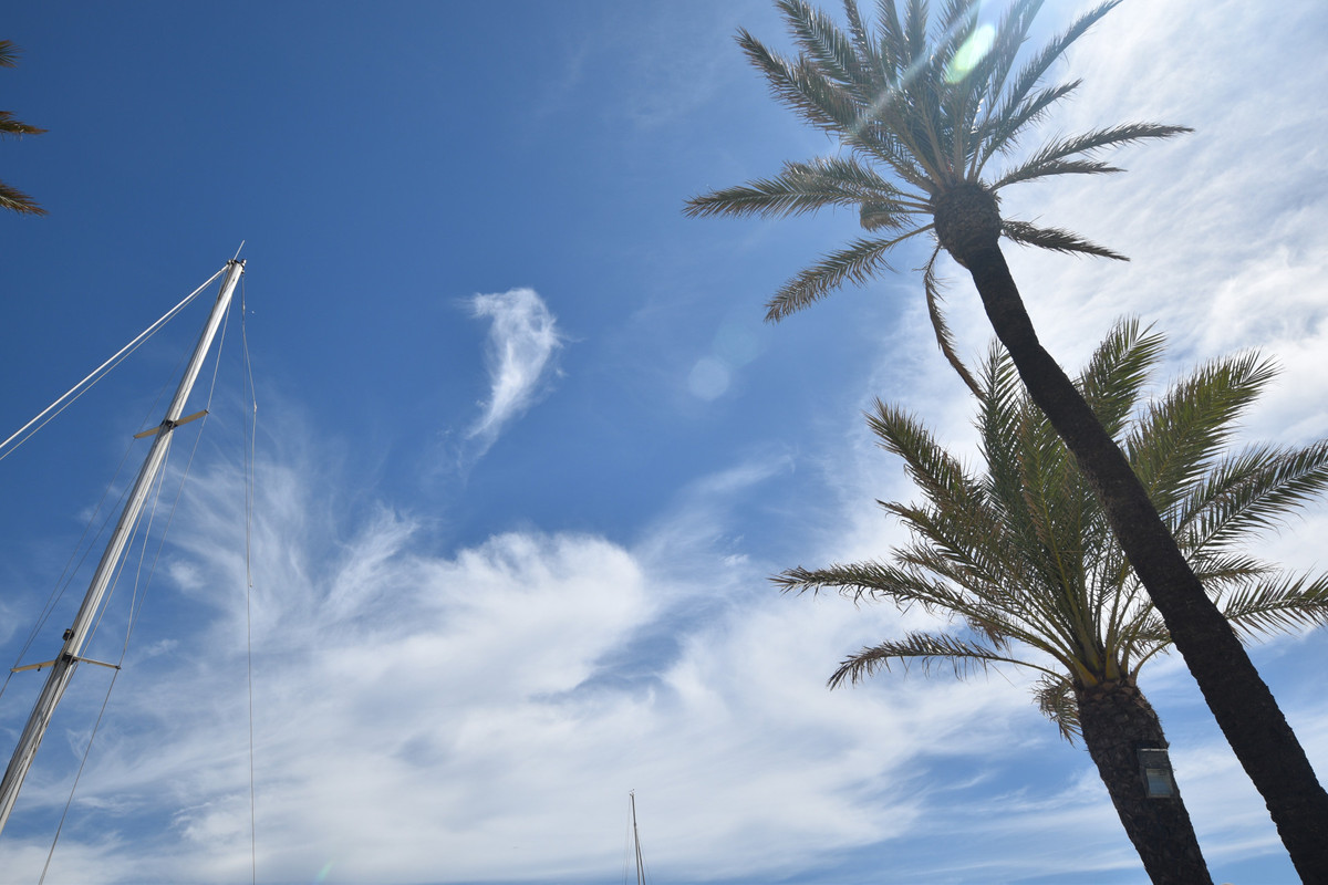 Property main view 30