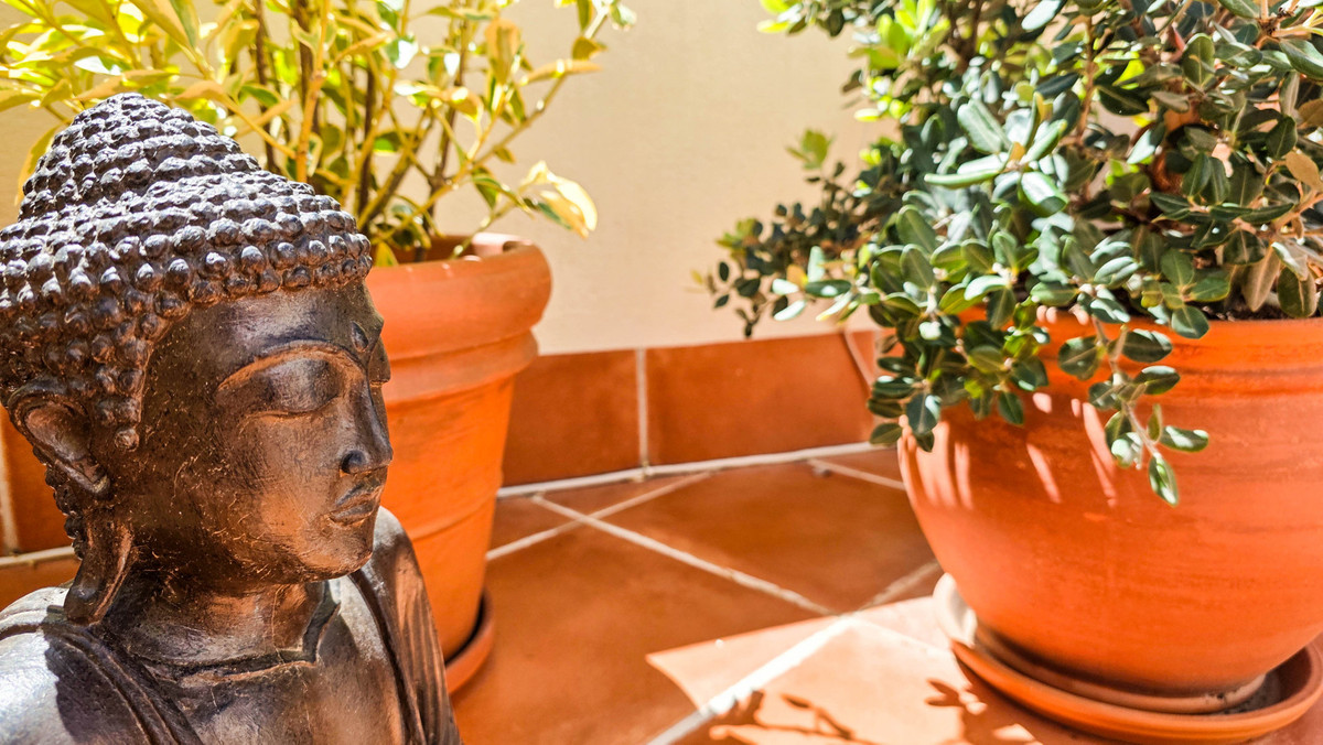 Property main view 9