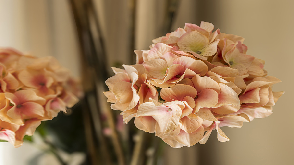 Appartement te koop in Casares | 2 slaapkamers H5361532