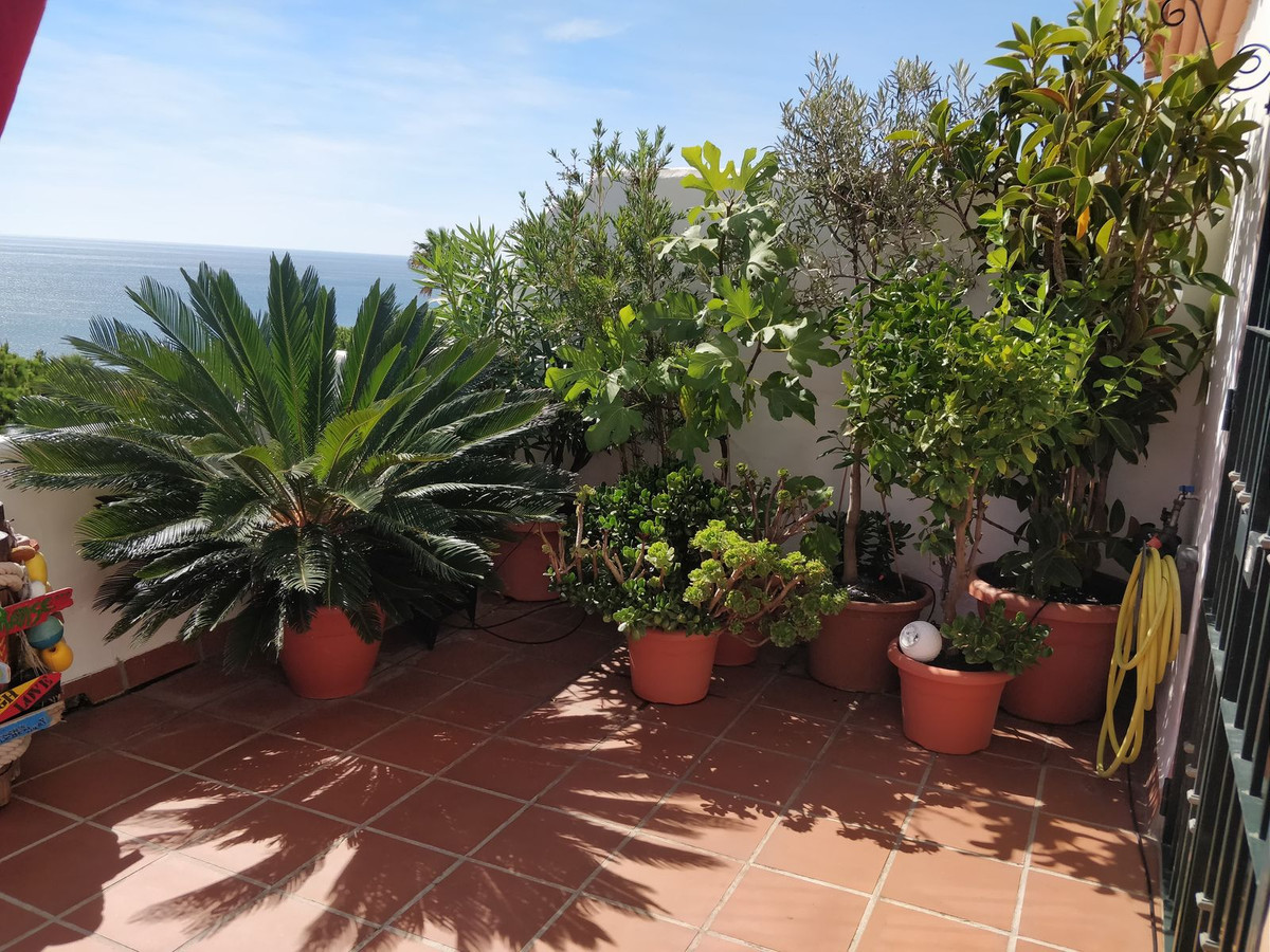 Penthouse Duplex in Casares Playa-4
