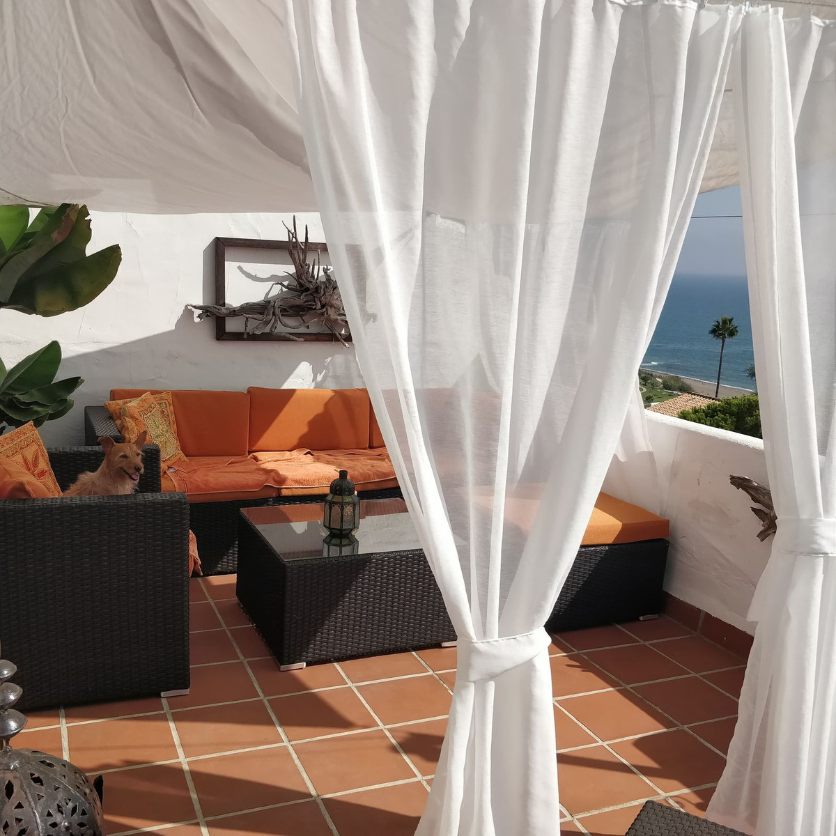 Penthouse Duplex in Casares Playa-5
