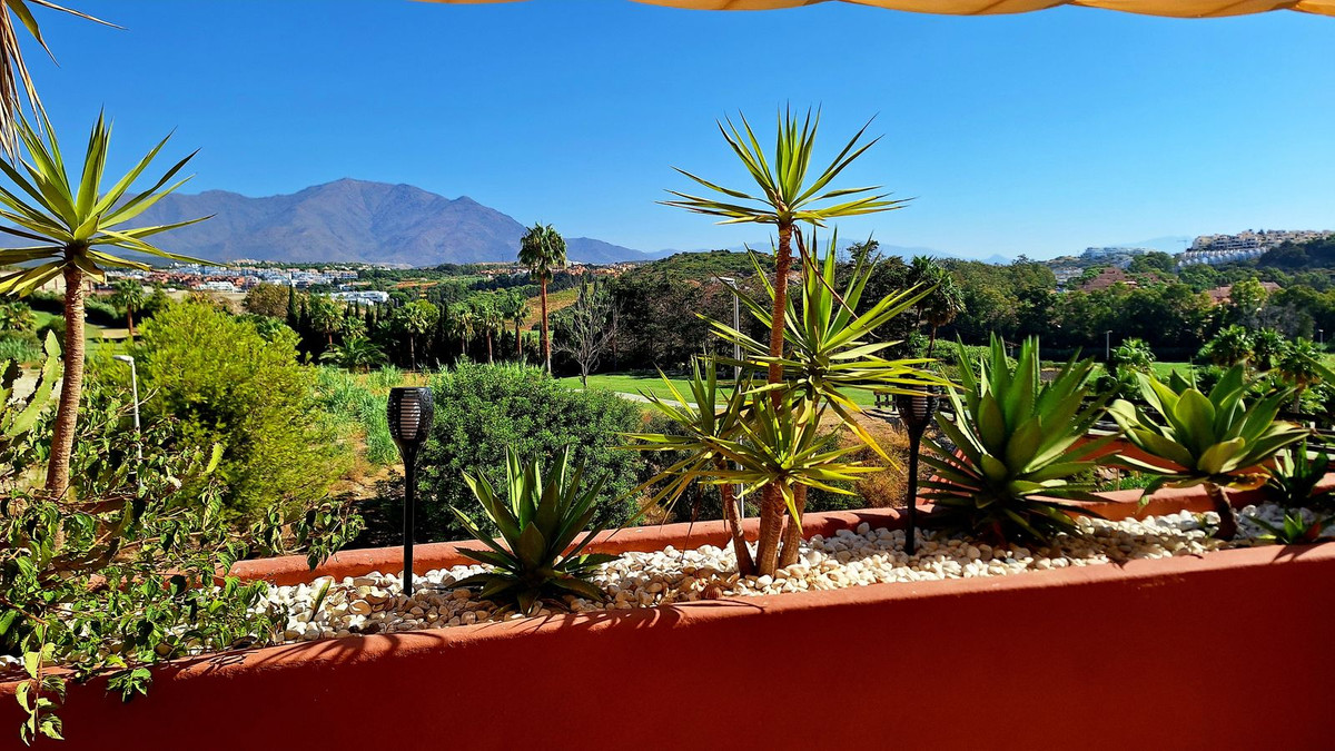 Property main view 20