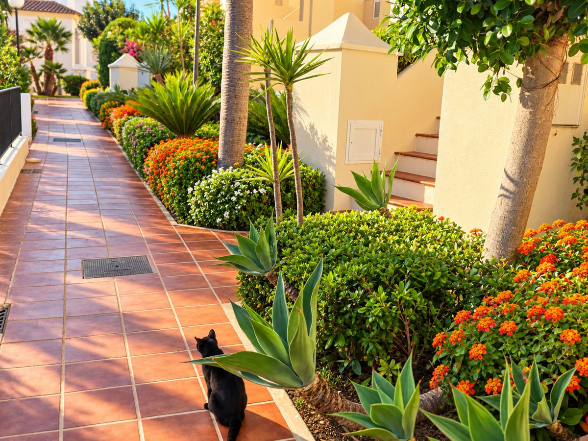 Penthouse te koop in Casares Playa | 3 slaapkamers H5495953