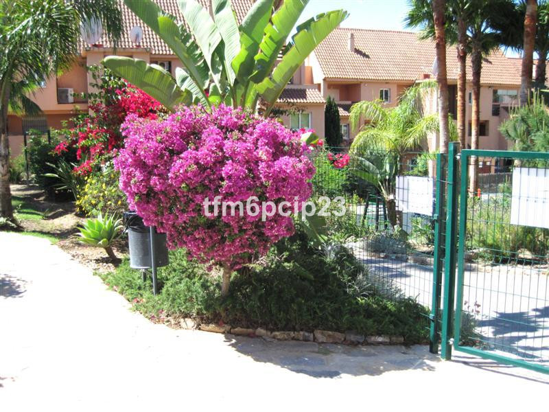 Property main view 14