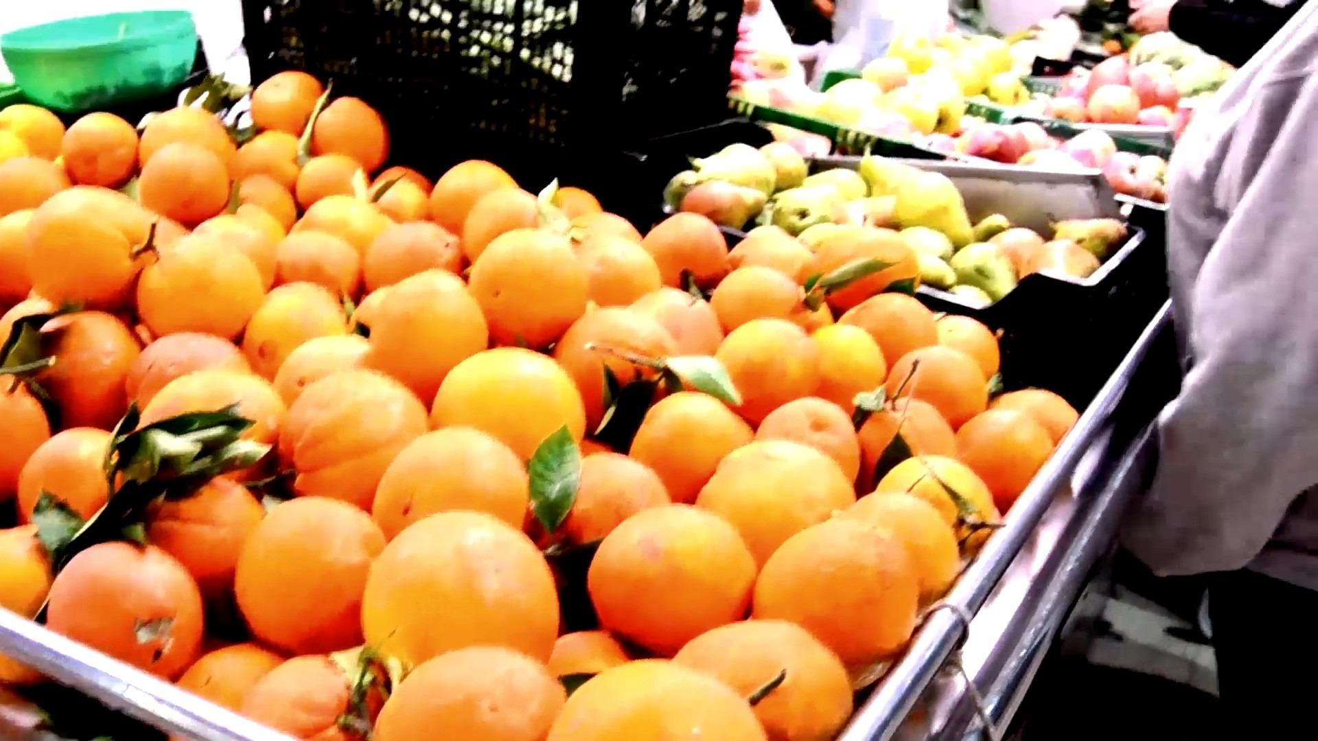 Property main view 25