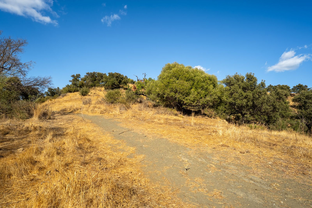 Property main view 11