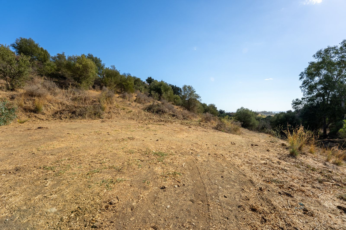 Property main view 8