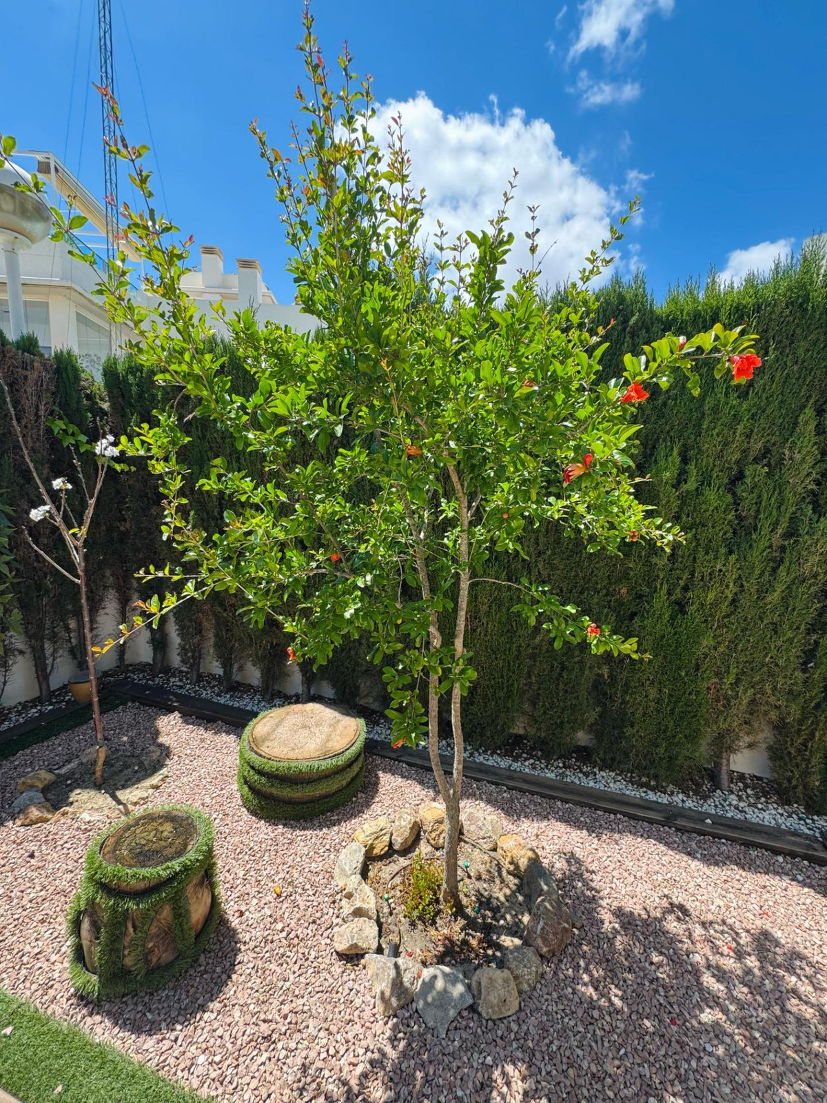 Appartement te koop in Ciudad Quesada | 3 slaapkamers H5319214