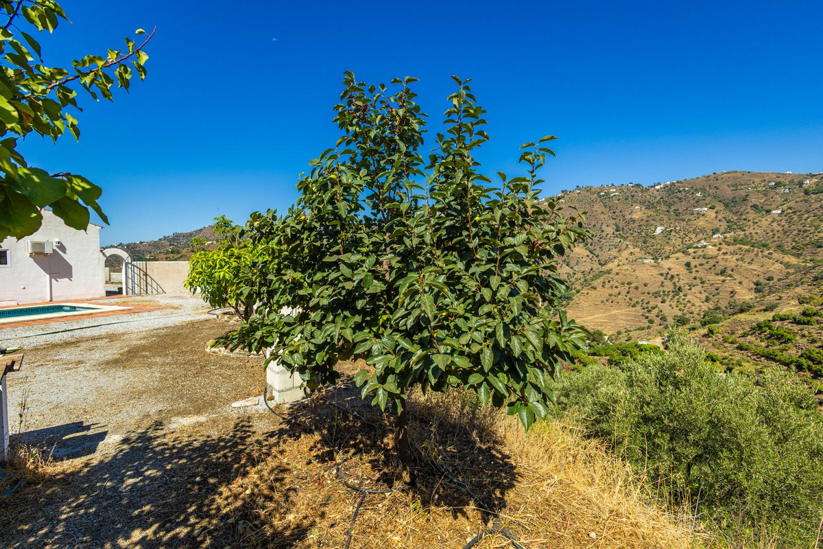 Property main view 36