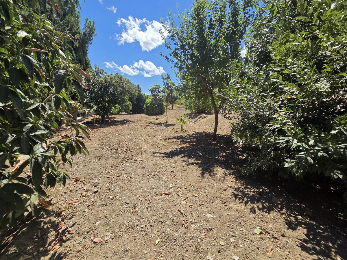Property main view 17
