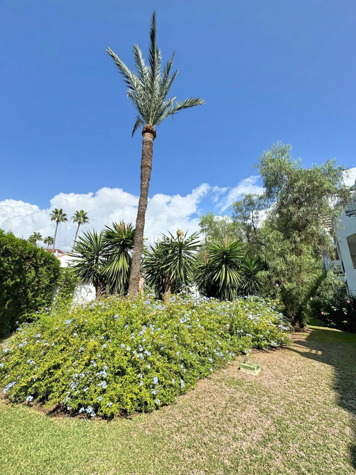Appartement te koop in Costalita | 3 slaapkamers H5131930