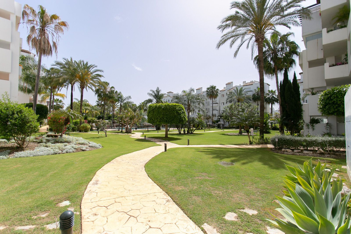 Property main view 16